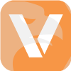Vicamfx