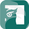 Owl Option