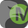 Miki Forex