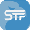 STF Trading Group