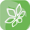 Netotrade