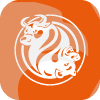 FXOpen