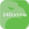 24Domino