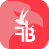 Forex Birds