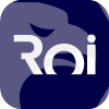 Roinvesting
