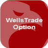 Wells Trade Option