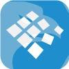 Wize Capital