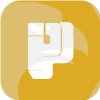 PPI