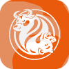 FXOpen 