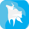 BluePips Capital
