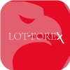  Lot-Forex