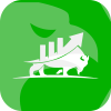 FxSeo