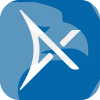NEXUS GLOBAL