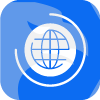 ONLINE MARKET SHARE