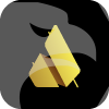 Aurea Capital Markets