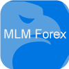 MLM Forex