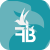  Forex Birds