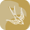 SKYPRIMEBG