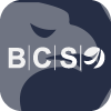 BCS Forex