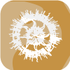 SunGoldUnion.com