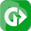 Gemini Option