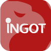 INGOT BROKERS