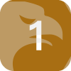 1STCOIN