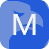 MagKing Forex