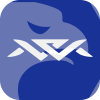 WealthMarketsCFD