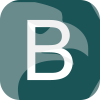 BPCE Capital