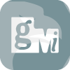 GMI Securities