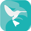 Hummingbird