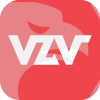 Vizavi
