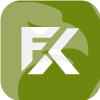  FX-TRADING