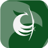 PhoenixCapital