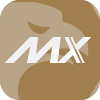 MX