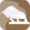 BULLFOREX