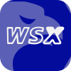 WSX
