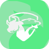 Bullsandbearfx