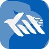 Kodin Capital Markets