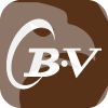 BV Trading
