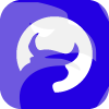 Bigbull Markets