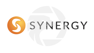 synergyfx 興集