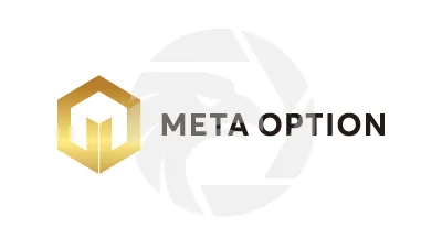 Meta Option