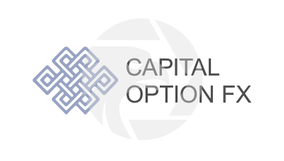 Capital option fx