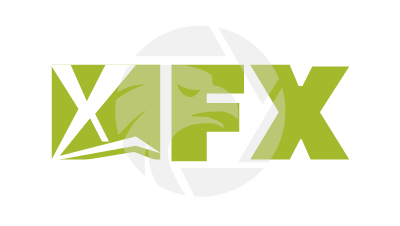 FX COMMERCIAL MARKET