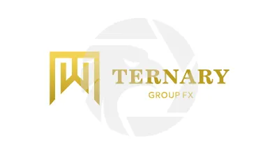 Ternary Group Fx