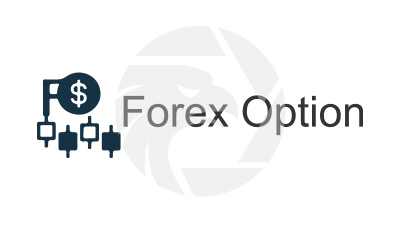Forex Option