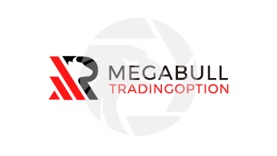 Mega Bulls Trading Option