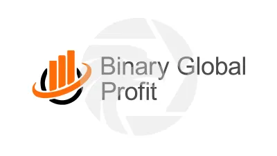 Binary Global Profit